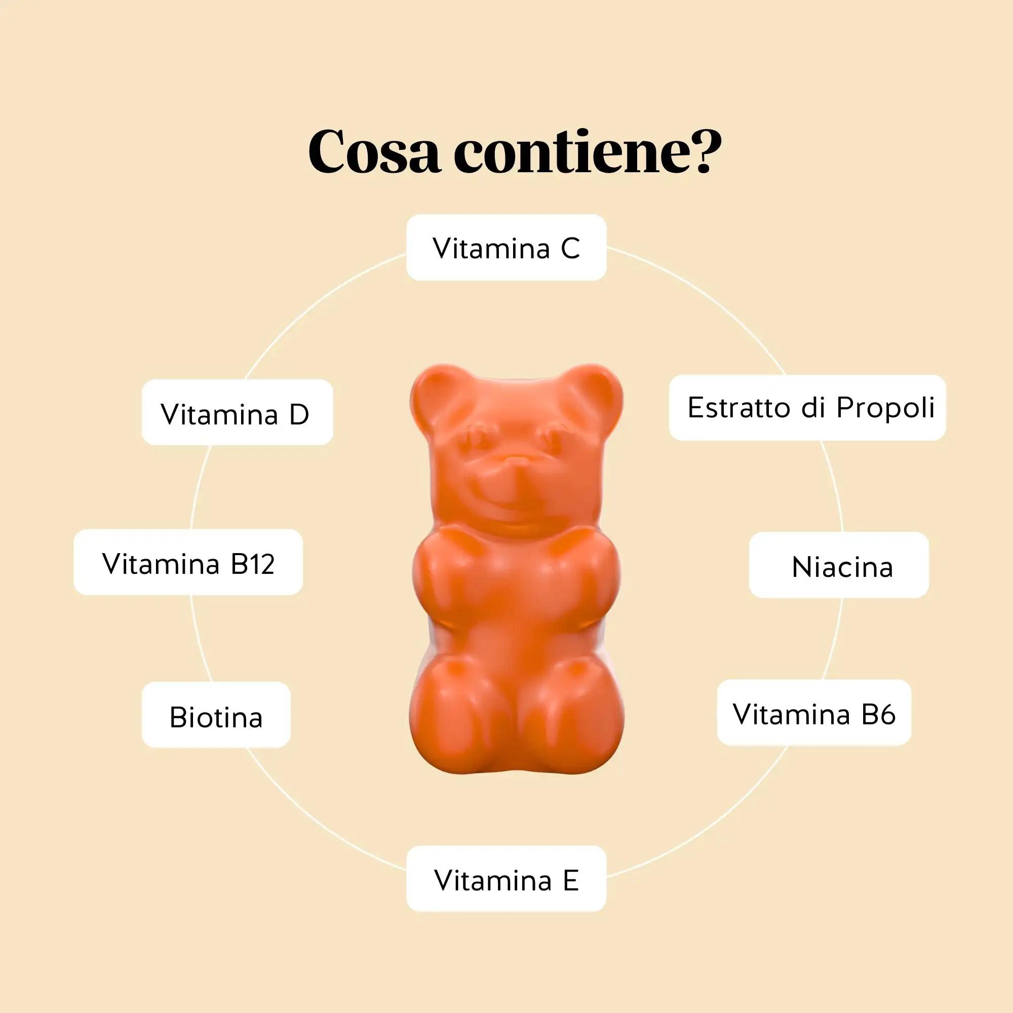 Duo Vitalità Quotidiana - Image 7